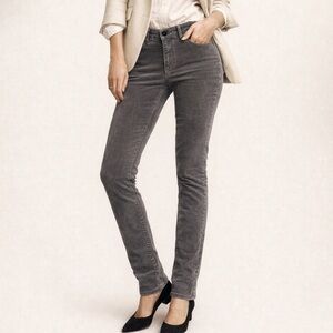LOFT Gray Velvet Modern Skinny